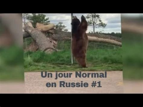 Village Russie Un Jour Normal En Russie