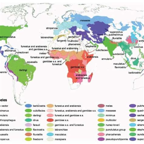 2 Global Distribution Of Dominant Malaria Vectors Picture Adapted