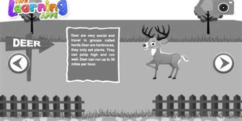 Download Free Fun Facts About Deer - The Learning Apps