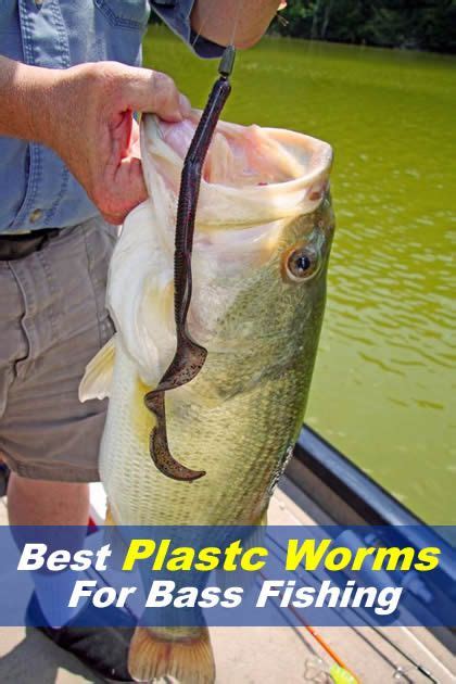 Best Plastic Worms For Bass Fishing Bass Fishing Lures Bass Fishing