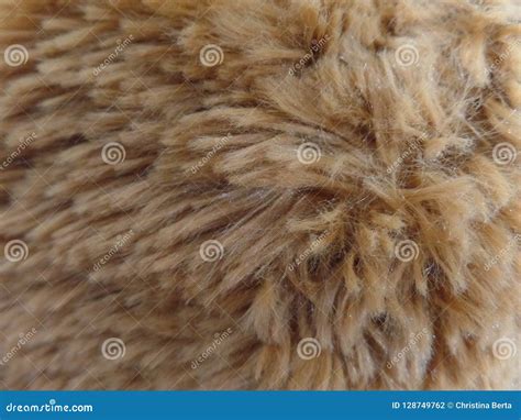 Close Up Of Teddy Bear Texture Stock Photo Image Of Silky Comfort