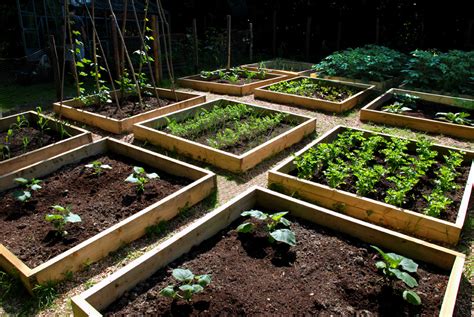 Et si vous essayiez un potager surélevé PotagerDurable