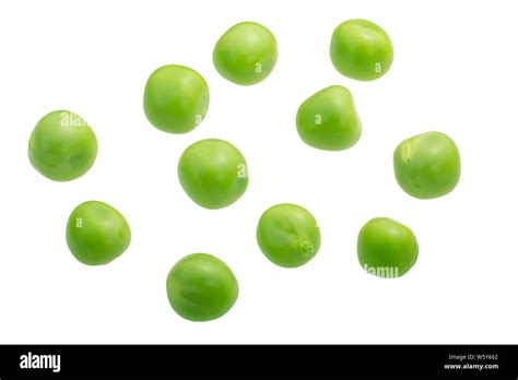 Pea Seeds Pisum Sativum Fresh Isolated Top View Stock Photo Alamy