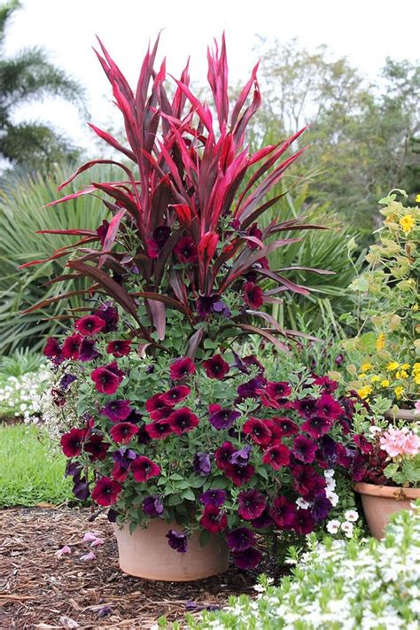 Full Sun Container Plants Ideas 10 | Fall container gardens, Container ...