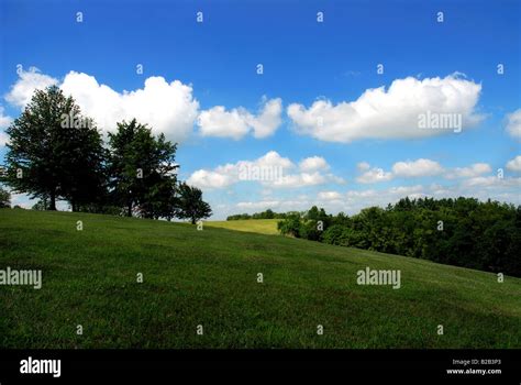 Summer Day On A Rolling Hill In Kentucky Stock Photo Alamy