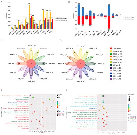 Rna Seq And Wgcna Analyses Reveal Key Regulatory Modules And Genes For