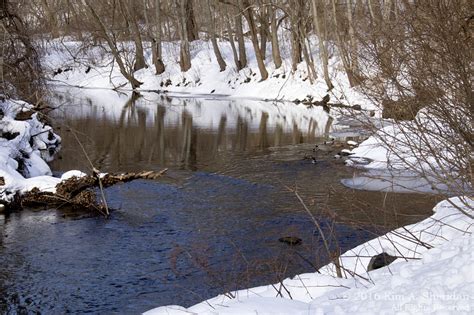 Snow Scenes | The Wild Edge