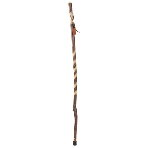 Brazos Walking Sticks™ Twisted American Hardwood Walking Stick 55