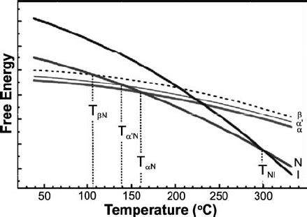 Schematic Free Energy Diagram Showing Relative Thermodynamic