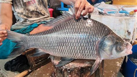 Amazing Giant Katla Fish Cutting Skills Live In Fish Market Fish