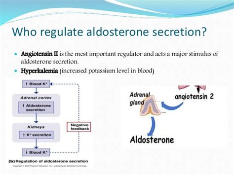 Aldosterone