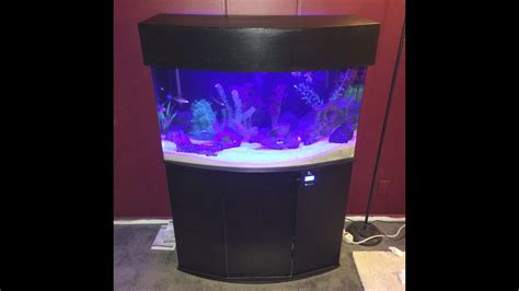 Gallon Bow Front Acrylic Aquarium Set Up And Canopy Build By Jake