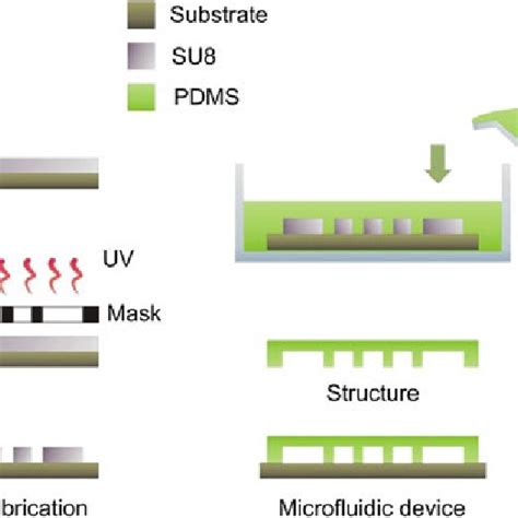 Main Steps Of The Pdms Microfluidic Devices Fabrication Procedure