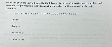 Solved Using The Example Above Transcribe The Following DNA Chegg