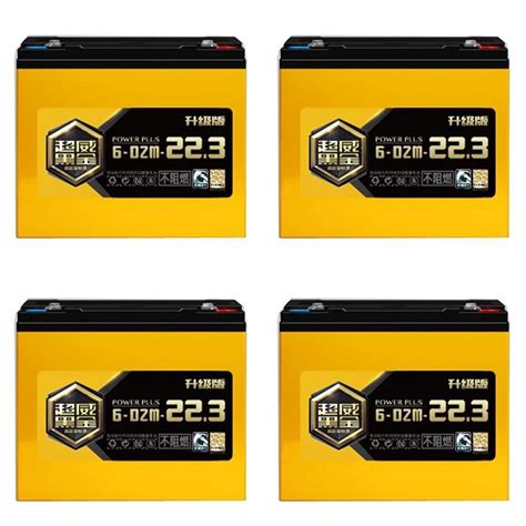 Chilwee Aki Kering 48V 22 3A 4 X VRLA Battery 6 DZM 22 3 4 X Aki