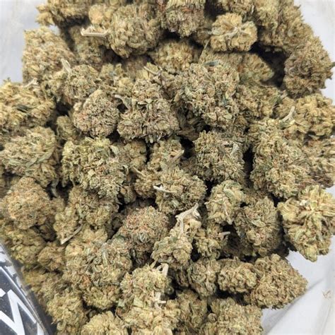 Afghani Hash Plant Online At Top Shelf Bc