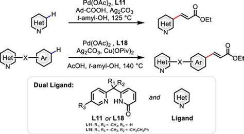 用于杂芳烃非定向 C H 烯化的双配体催化剂journal Of The American Chemical Society X Mol