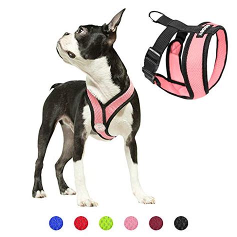 Best Harnesses For Small Dogs 2020 Ratings And Reviews