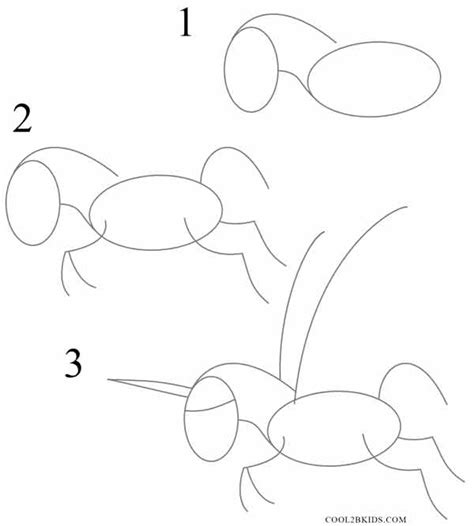 How to Draw a Unicorn (Step by Step Pictures)