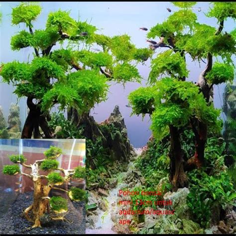 Pohon Bonsai Mini 13cm Untuk Aquarium Aquascape Siap Pasang Lazada Indonesia