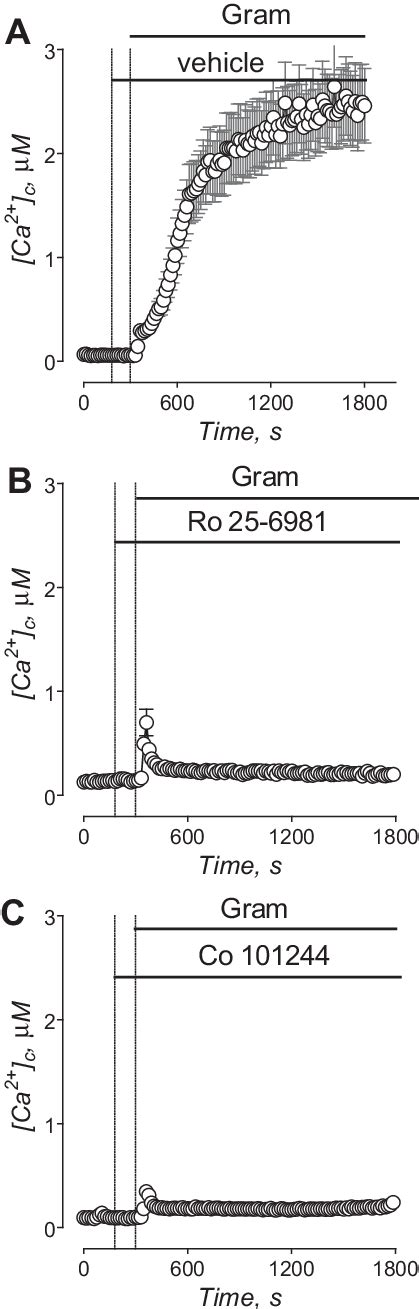 The Effects Of Ro And Co On Gramicidin Induced Increases