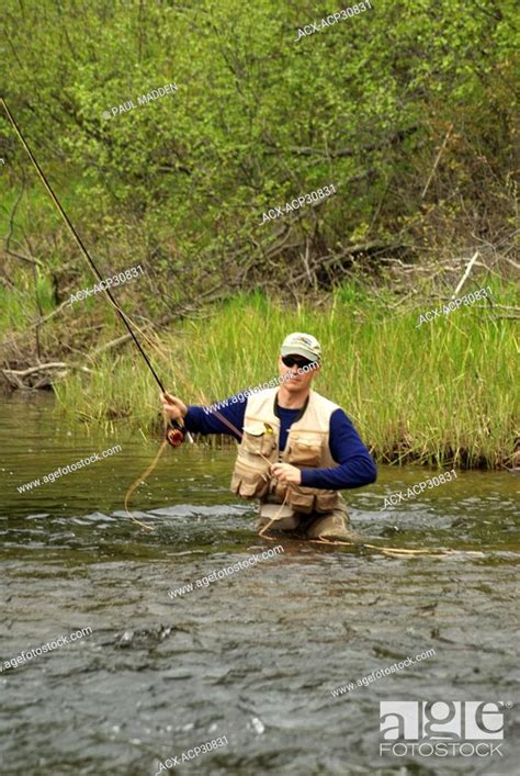 Fly Fishing For Spring Brook Trout In Algonquin Park Ontario Canada