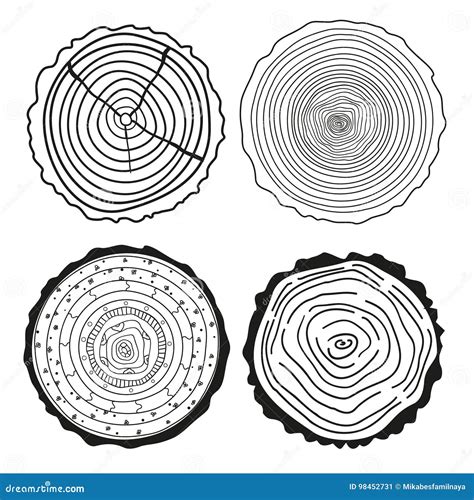 Tree Rings. Set of Cross Section Stock Vector - Illustration of ...