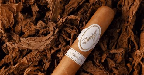 Davidoff Signature Vs Grand Cru Major Differences