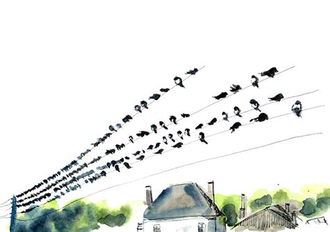 The Migration of Swallows on Behance