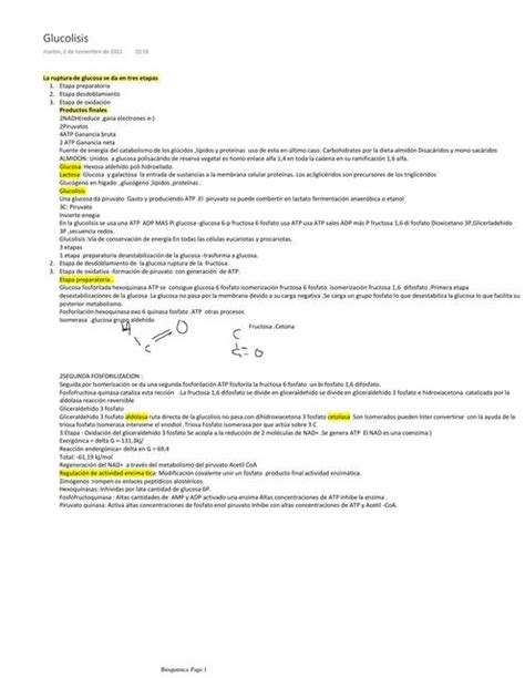 Glucolisis Adrian Guaman Udocz