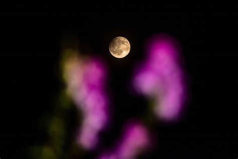 1st lunar eclipse of 2023 darkens the full Flower Moon in eerie photos ...