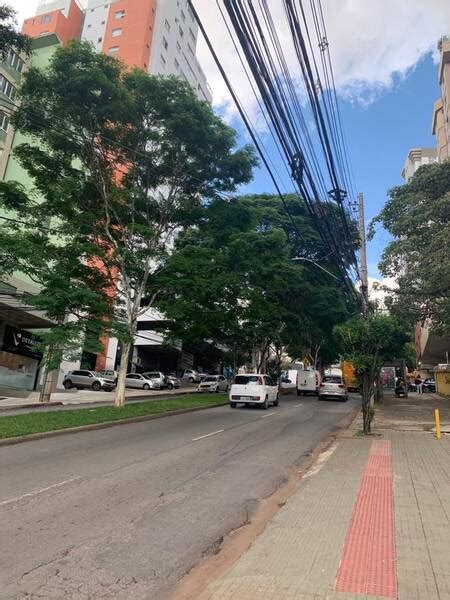 Saiba Tudo Sobre A Avenida Professor M Rio Werneck No Buritis