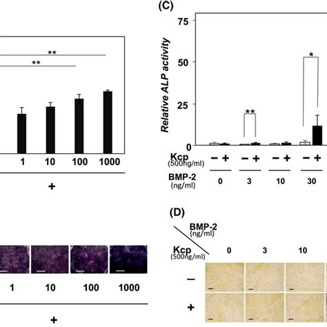 Determination Of Alp Activity With Various Concentrations Of Reagents Download Scientific