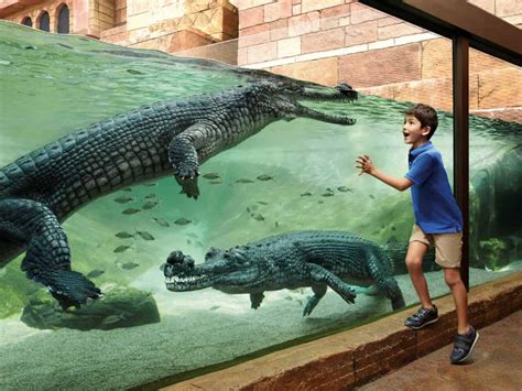 River Safari Singapore Zoo Ticket Price Opening Hours And Map