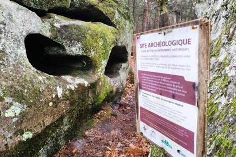 Forêt de Fontainebleau ce fragile mais incroyable musée de l art