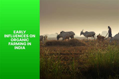 History Of Organic Farming In India The Geopolitical Observer