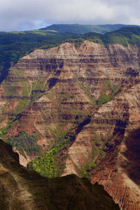 Waimea Canyon And Kokee State Park Guide To The Best Spots