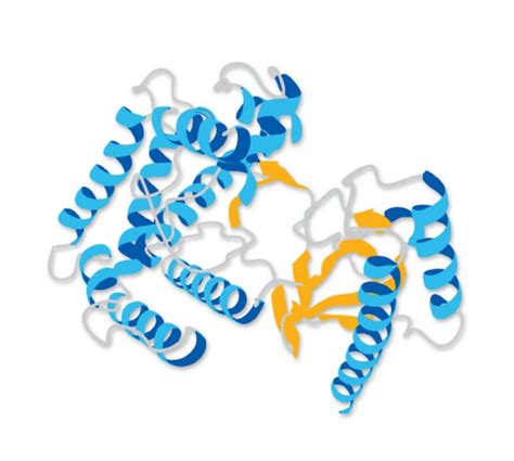 MilliporeSigma™ Chemicon™ Human Collagen Type III | Fisher Scientific