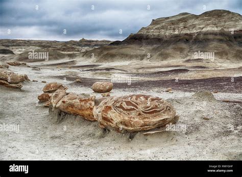 Bisti Badlands Chocolate Hoodoos New Mexico Usa Stock Photo Alamy