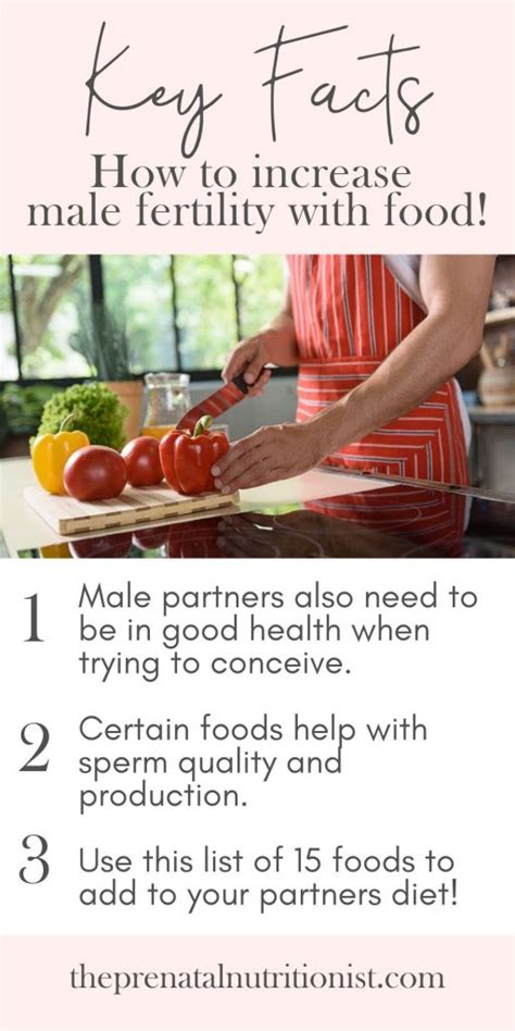 Foods To Increase Male Fertility The Prenatal Nutritionist