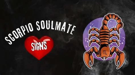 Top 3 Soulmates For Scorpio Find Out If You Are A Scorpio Soulmate