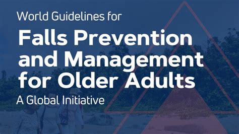 World Guidelines For Falls Prevention And Management For Older Adults A Global Initiative