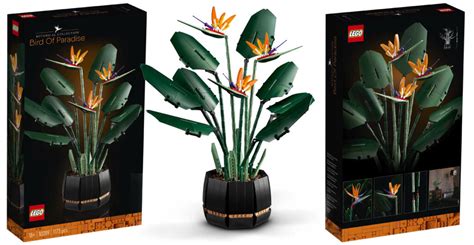 Brickfinder LEGO Botanical Collection Bird Of Paradise 10289 First