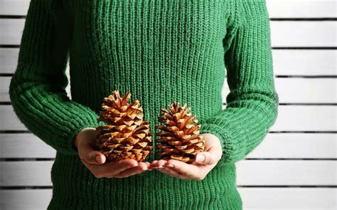 Premium Photo Woman Holding Pine Cone Closeup