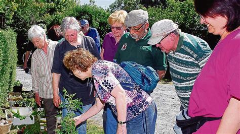 Pflanzentauschb Rse Des Obst Und Gartenbauvereins Hainhausen Hat Sich