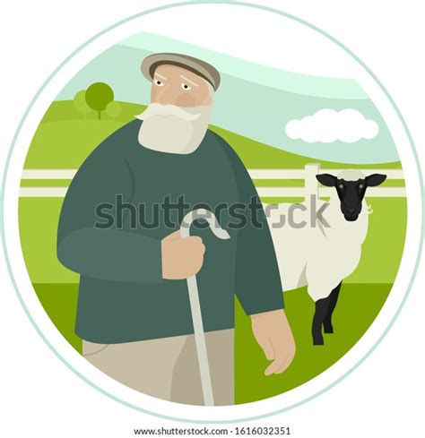 Farming Today Elderly Shepherd Grazes Flock Stock Vector Royalty Free 1616032351 Shutterstock