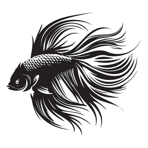 Betta Fish Vector Illustration Fighting Fish Logo Design