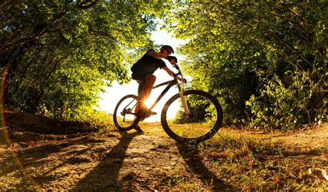 Tienda de bicicletas de montaña Valencia profesional Tot Bikers