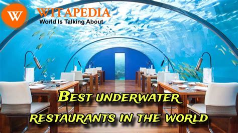 Best Underwater Restaurants In The World Witapedia Youtube