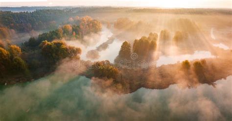 Misty Dawn Sova